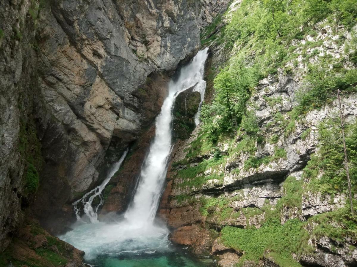 House Budkovic Bohinj Bagian luar foto